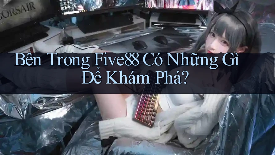 Bên Trong Five88 Có Những Gì Để Khám Phá?