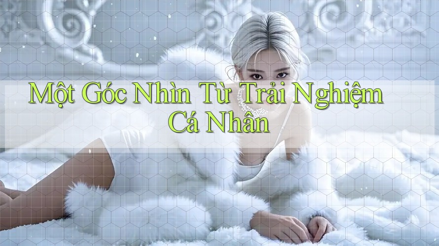 Một Góc Nhìn Từ Trải Nghiệm Cá Nhân
