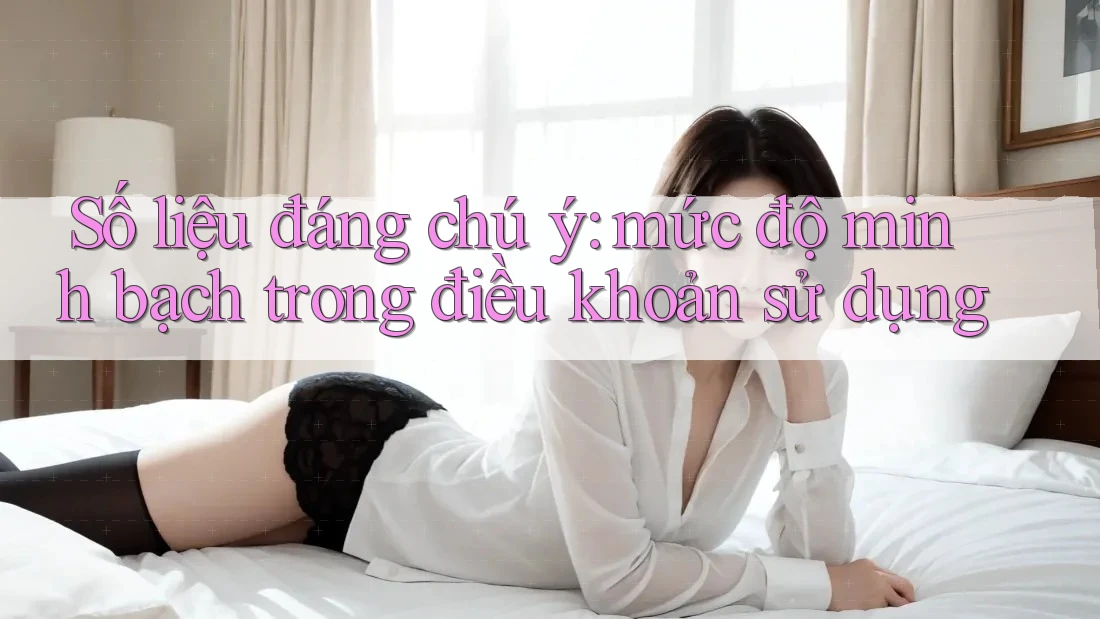Số liệu đáng chú ý: mức độ minh bạch trong điều khoản sử dụng