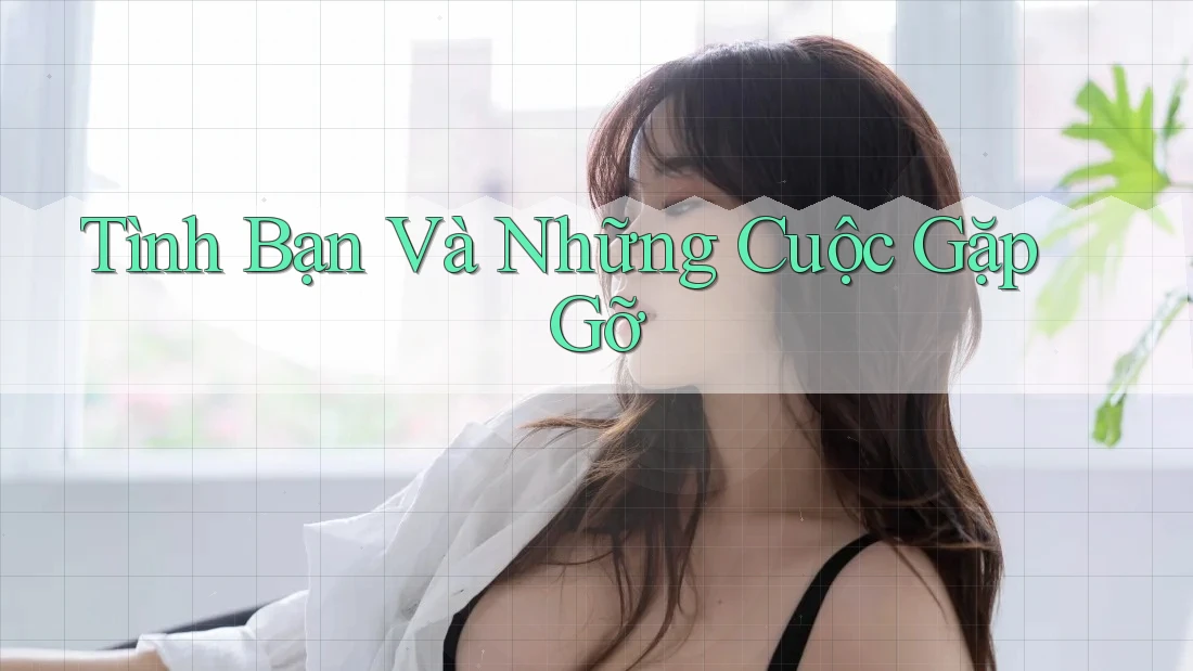 Tình Bạn Và Những Cuộc Gặp Gỡ